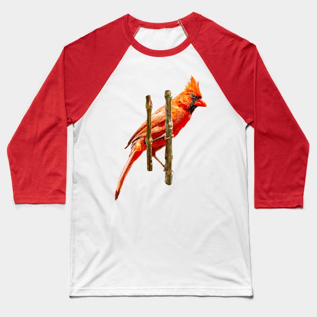 Male Northern Cardinal Baseball T-Shirt by dalyndigaital2@gmail.com